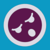 SwiftNetworking